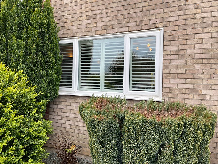 Paulownia Shutters