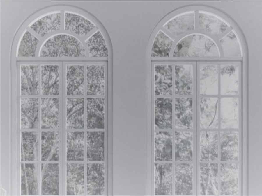 Paulownia Shutters